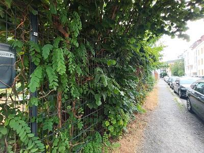 Foto - Grundstück in Leipzig