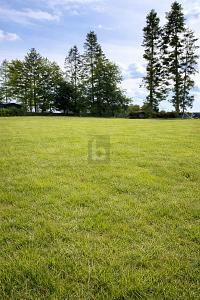 Foto - NATUR PUR - TRAUMHAFTE LAGE AM FELDRAND