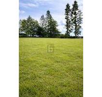 NATUR PUR - TRAUMHAFTE LAGE AM FELDRAND - Lalendorf