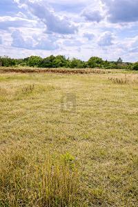 Foto - Grundstück in Lalendorf zum Kaufen