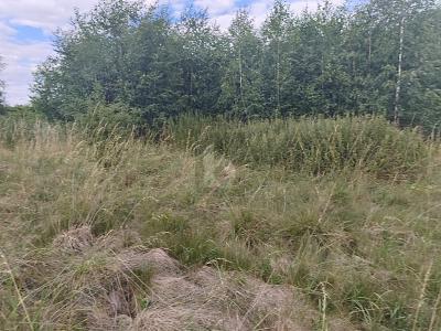 Foto - Grundstück in Wermsdorf zum Kaufen