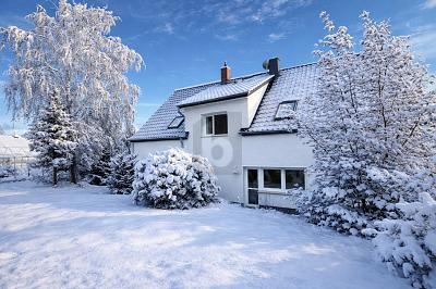 Foto - GROßER GARTEN MIT WERKSTATT & GEWÄCHSHAUS