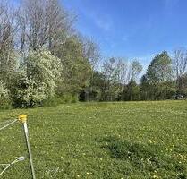 INVESTMENT IN IHRE ZUKUNFT- KAUFEN SIE LAND - Berg