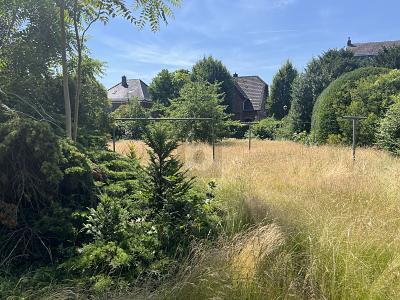 Foto - SAHNESCHNITTE IM ORTSKERN - ca.&nbsp; 831,00&nbsp;m&sup2;