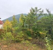 FERTIGES PROJEKT SUCHT UMSETZUNG! - Müllheim