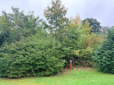 Foto - Grundstück zum Kaufen in Müllheim