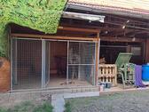 Foto - Einfamilienhaus mit 170,00 m&sup2; in Lauf zum Kaufen