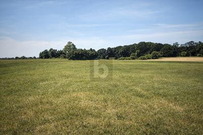 Foto - GRÜNLANDFLÄCHE - KAPITALANLAGE MIT PV-POTENTIAL