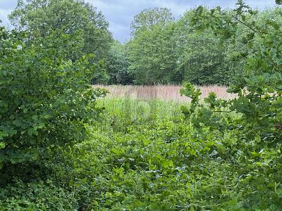 Foto - Grundstück zum Kaufen in Lutzhorn