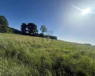 SONNIG, RUHIG & NATURNAH MIT AUSBLICK - Riepsdorf