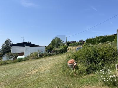 Foto - Grundstück in Ranstadt
