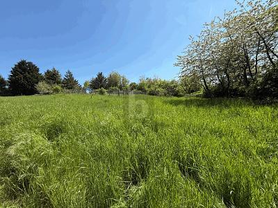 Foto - Grundstück in Monzingen