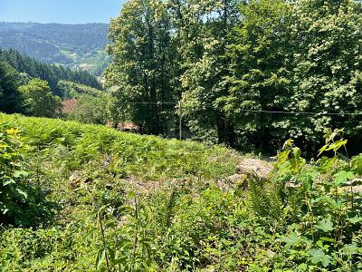Foto - ERSCHAFFEN SIE IHREN WOHNTRAUM IM GRÜNEN