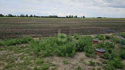Foto - Grundstück in Fehmarn