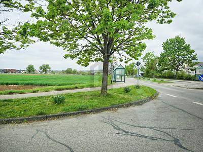 Foto - Grundstück zum Kaufen in Schlaitdorf