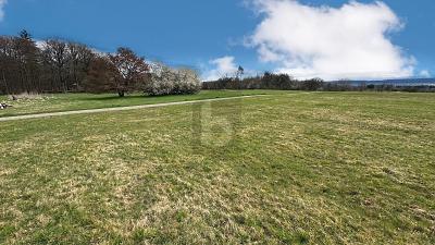 Foto - Grundstück in Karlsbad