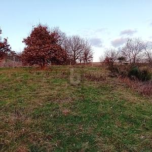 Foto - Grundstück zum Kaufen in Kinderbeuern