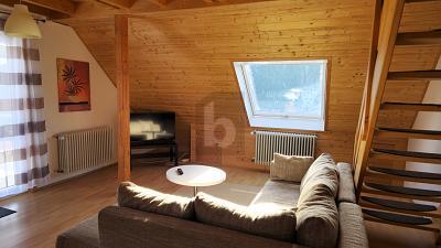 Foto - 18 Zimmer Mehrfamilienhaus, Wohnhaus zum Kaufen in Feldberg