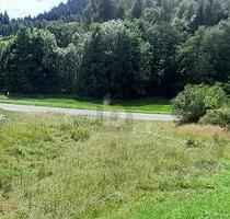 SOFORT BEBAUBAR: GENEHMIGTES WOHNHAUS INKLUSIVE - Lauterbach