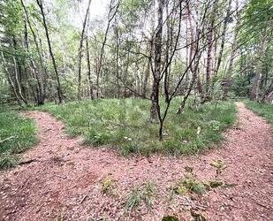 ATTRAKTIV FÜR FREIZEIT ODER IDEAL FÜR PROJEKTIERER - Pinneberg