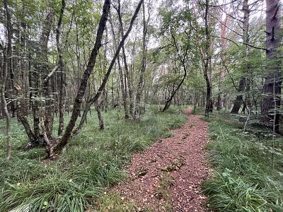 Foto - Freizeitgrundstück in Pinneberg zum Kaufen
