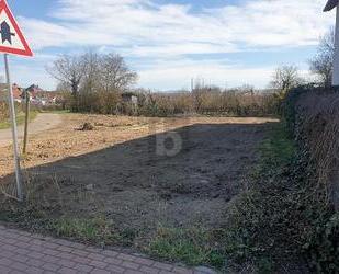 KAISERSTÜHLER IDYLLE TRIFFT FREIBURGER STADTNÄHE - Ihringen