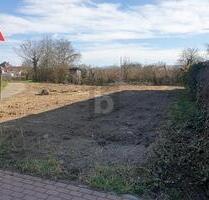 KAISERSTÜHLER IDYLLE TRIFFT FREIBURGER STADTNÄHE - Ihringen