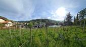 Foto - AUSSICHT & LEBENSQUALITÄT - ca.&nbsp; 770,00&nbsp;m&sup2;