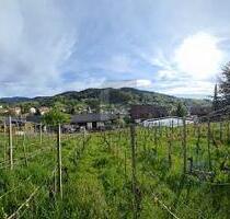 AUSSICHT & LEBENSQUALITÄT - ca.&nbsp; 770,00&nbsp;m&sup2; in Bühlertal (PLZ: 77830)