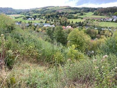 Foto - Grundstück zum Kaufen in Balve