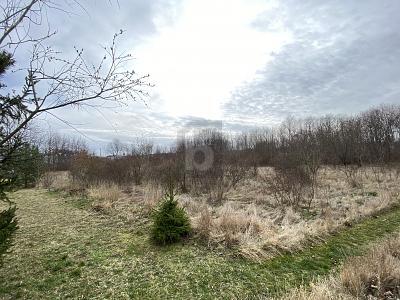 Foto - Grundstück in Arnstadt zum Kaufen