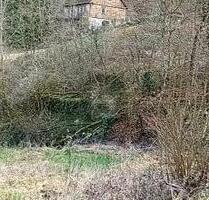 TRAUMHAFTE BAUMÖGLICHKEIT - 89.000,00 EUR Kaufpreis, ca.  760,00 m² in Traben-Trarbach (PLZ: 56841)