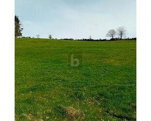 BAUEN IN RUHIGER ORTSRANDLAGE MIT WEITBLICK - Burbach