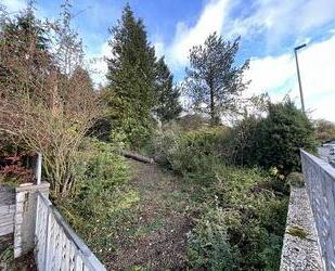 ROHDIAMANT MIT ERHOLUNGSCHARAKTER - Rettert