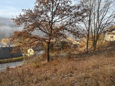 Foto - Grundstück in Bad Berneck im Fichtelgebirge zum Kaufen