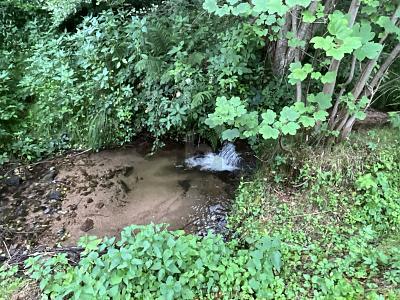 Foto - Grundstück in Bad Herrenalb