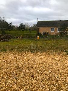 Foto - Grundstück in Pansdorf