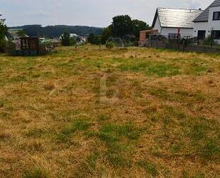 FERNBLICK & SONNIGE SÜDWESTLAGE - Arzfeld