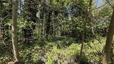 Foto - Freizeitgrundstück in Kuppenheim zum Kaufen
