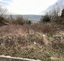 EXKLUSIVES WOHNEN IN BEVORZUGTER AUSSICHT - Niefern-Öschelbronn