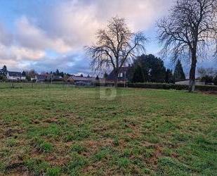 FÜR AUSSTEIGER UND EINSTEIGER! - 129.000,00&nbsp;EUR Kaufpreis, ca.&nbsp; 629,00&nbsp;m&sup2; in Dassow (PLZ: 23942)