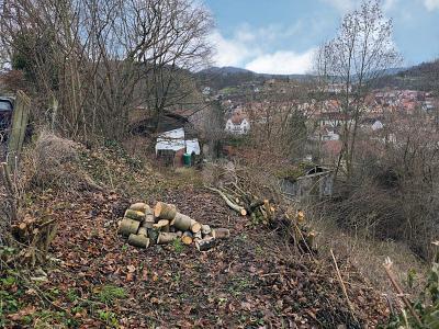 Foto - Grundstück in Schmalkalden