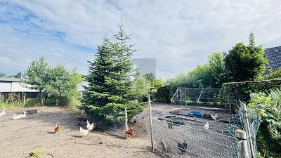 Foto - Grundstück in Tespe zum Kaufen