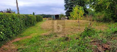 Foto - 8 Zimmer Mehrfamilienhaus, Wohnhaus zum Kaufen in Klausen