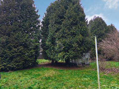Foto - Grundstück in Schleusingen zum Kaufen
