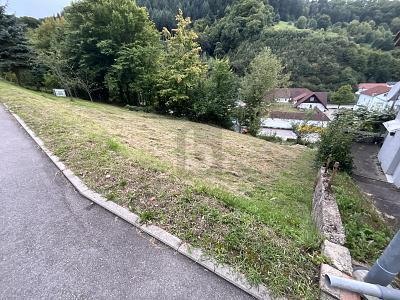 Foto - Grundstück zum Kaufen in Weisenbach