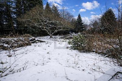 Foto - Grundstück in Hamburg Sasel