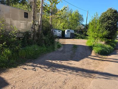 Foto - PFERDEHALTUNG MIT GROßEM GRUNDSTÜCK