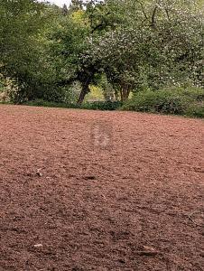 Foto - Grundstück in Beckingen zum Kaufen
