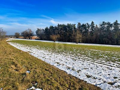 Foto - LANDWIRTSCHAFTLICHE NUTZUNG - 59.000,00&nbsp;EUR Kaufpreis, ca.&nbsp; 8.830,00&nbsp;m&sup2;